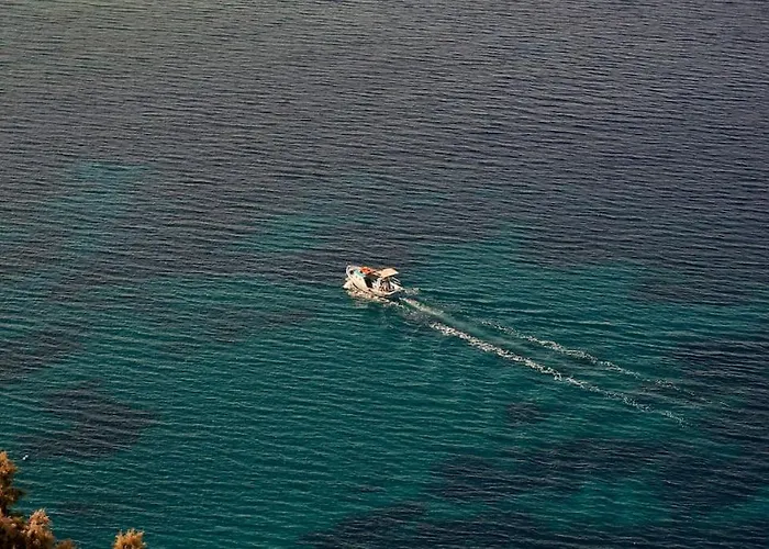 Sagini Agios Lazaros * Псароу